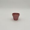 Triple Raspberry Mini Flower Pot Set