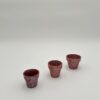 Triple Raspberry Mini Flower Pot Set-3